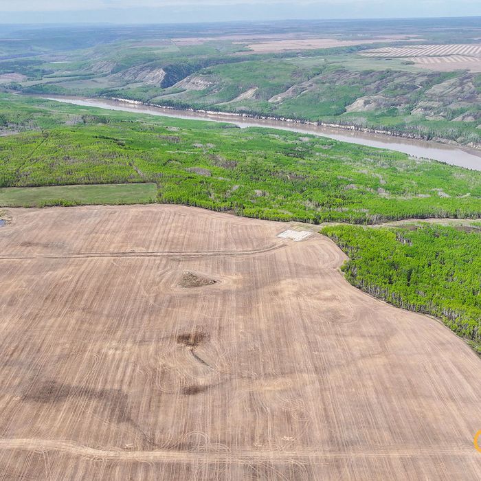 Selling Online July 15, 2026 - 299 Acres - Cotillion, AB