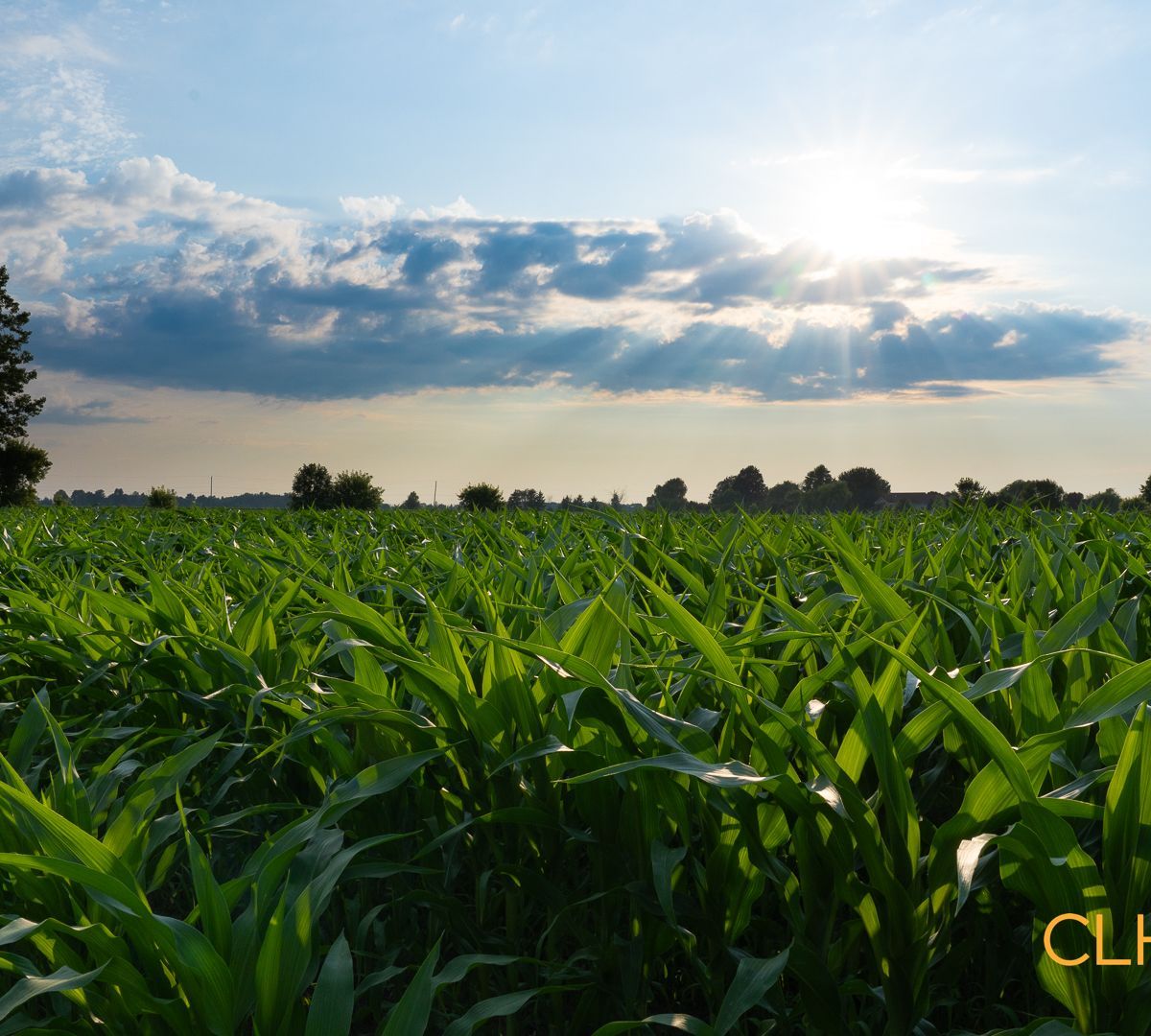 Selling Online July 21, 2026 - 496 Acres - Chesterville, ON
