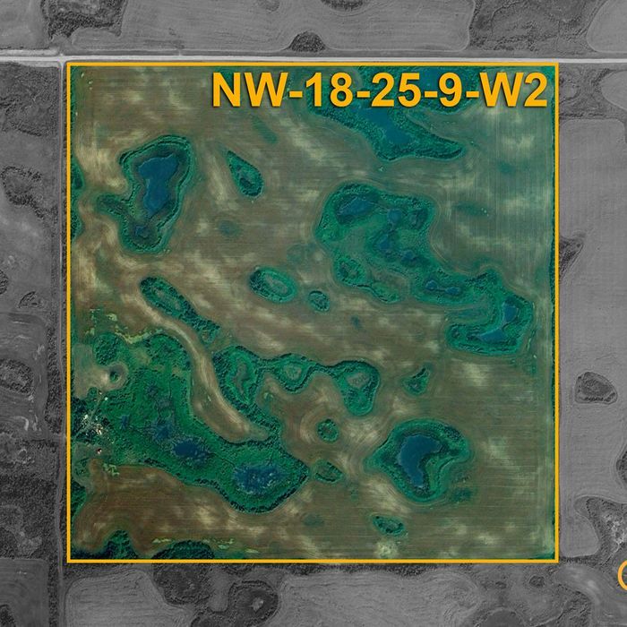 Selling Online August 13, 2026 - 160 Acres - Ituna, SK