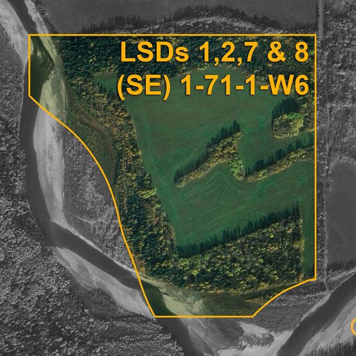 Selling Online August 11, 2026 - 136 Acres - Debolt, AB