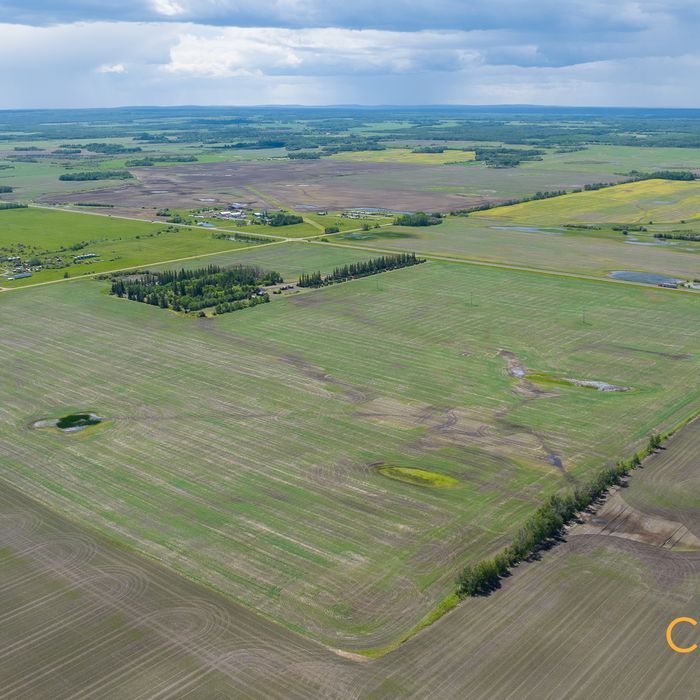Selling Online  August 20, 2026 - 156 Acres - Manning, AB