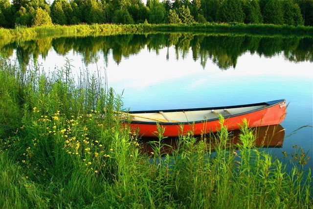 A 96.5 Acre Organic Farm with 30 miles view