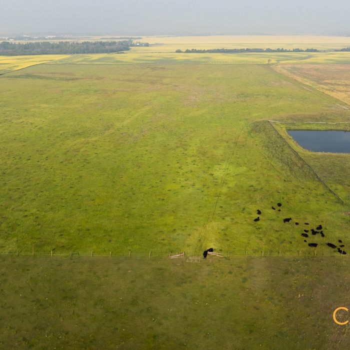 Selling Online September 16, 2026 - 139 Acres - Manning, AB