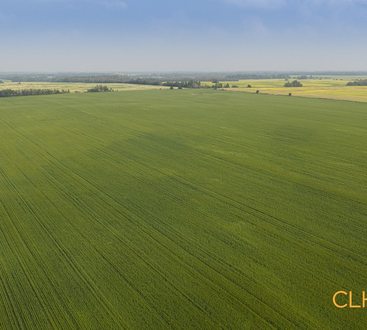 Selling Online September 17, 2026 - 169 Acres - Thorsby, AB