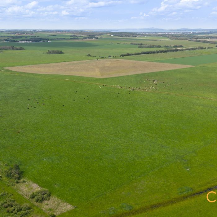 Selling Online November 18, 2026 - 160 Acres - Sylvan Lake, AB