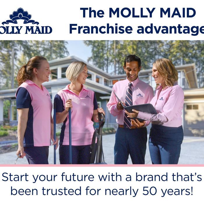 Established MOLLY MAID Business – Ready for New Owner