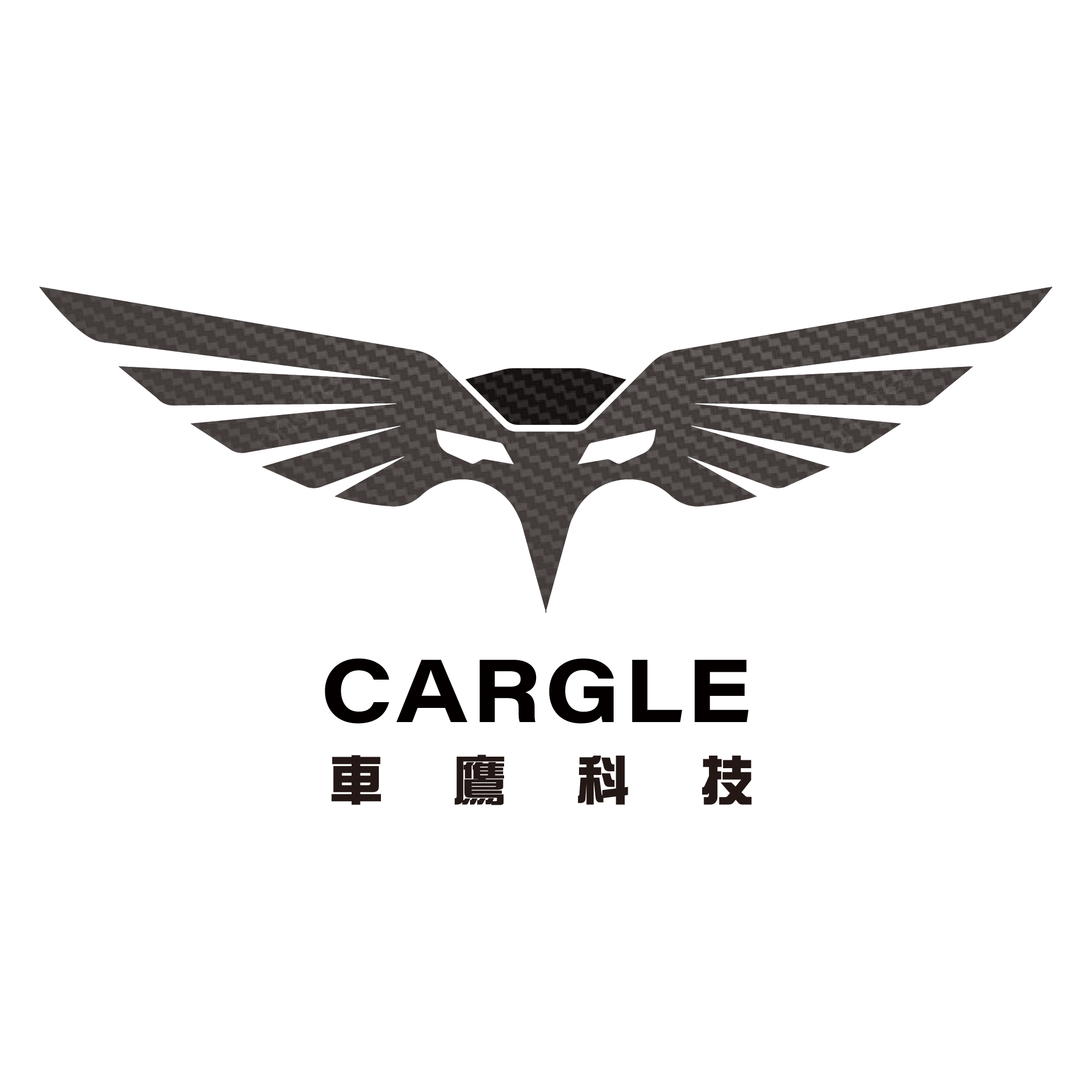 軟體開發客戶廠商logo商標