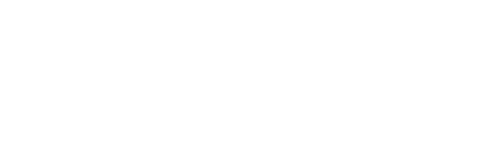 Star Ev logo