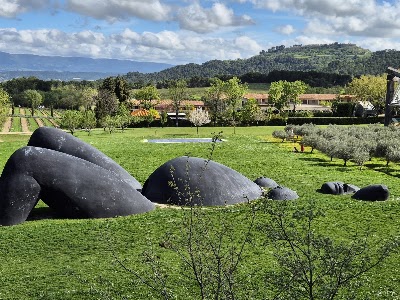 Château La Coste