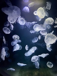 Aquarium de Paris