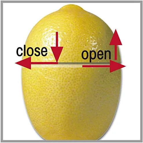 Fackelmann Zitronenschoner