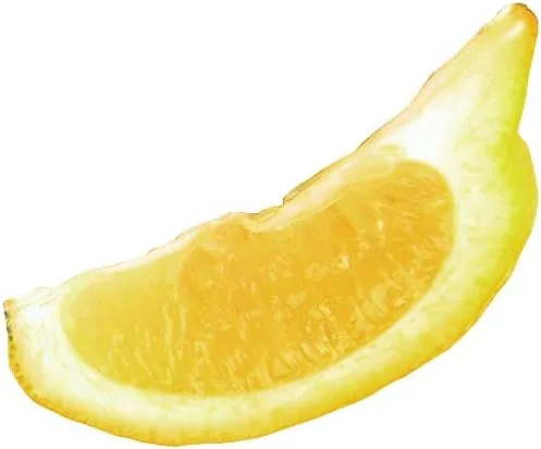 Fackelmann Zitronenschoner