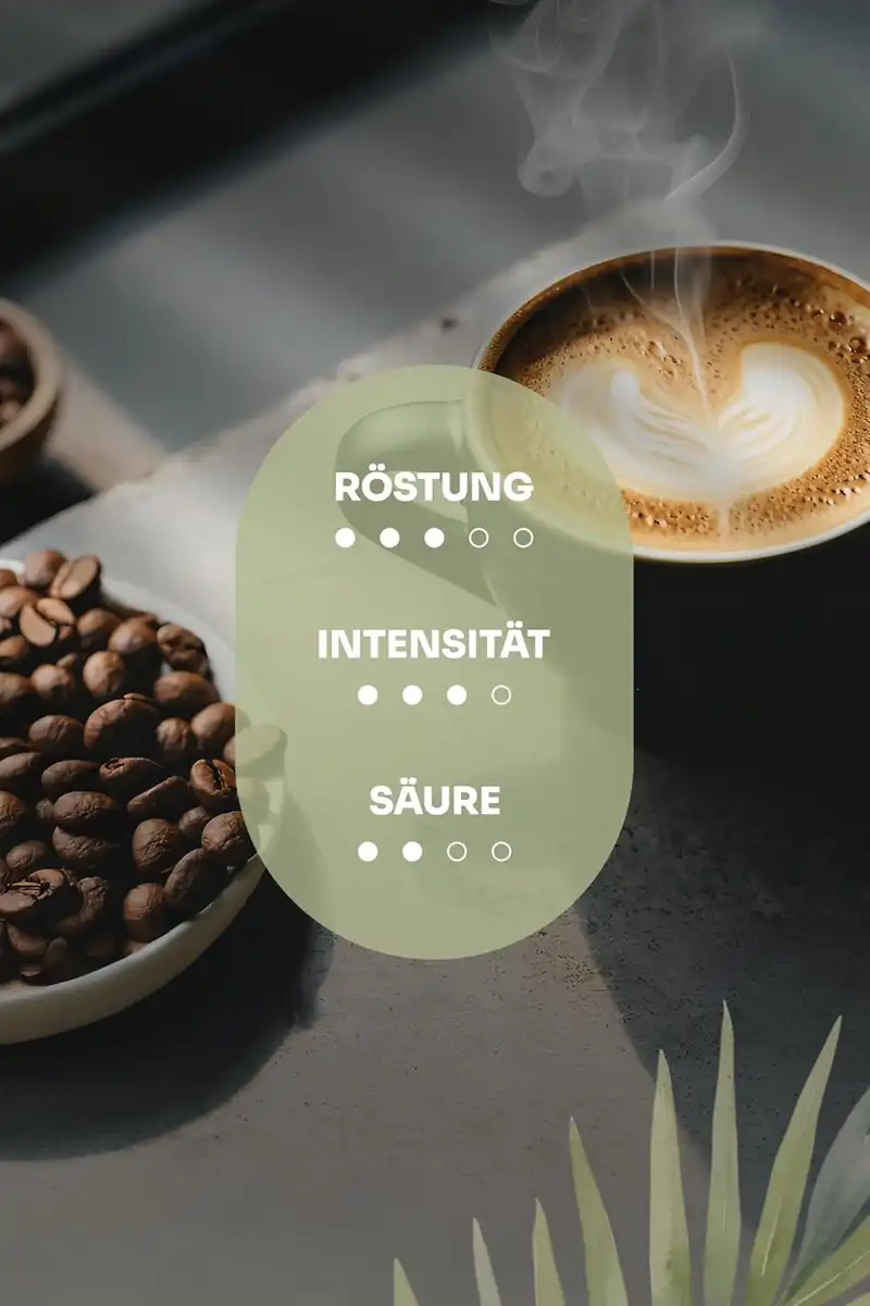 Joerges Gorilla Espresso Impianto