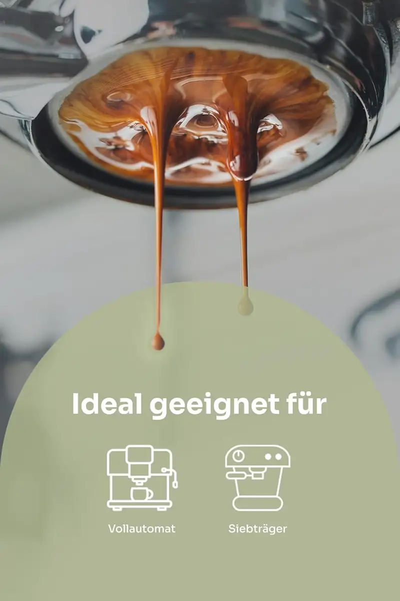 Joerges Gorilla Espresso Impianto