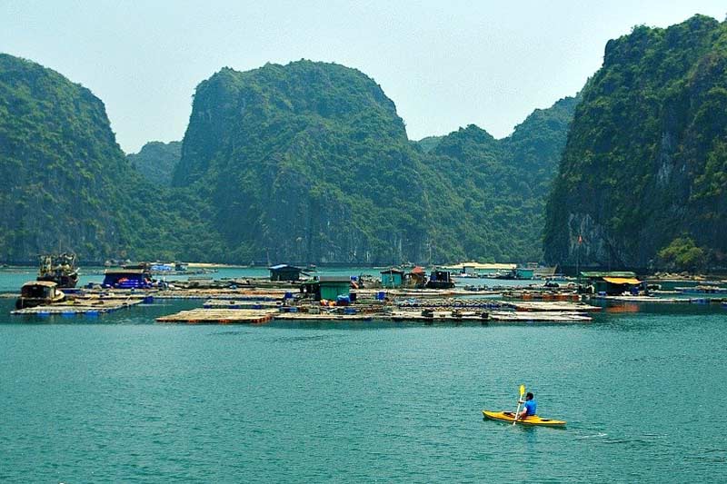 Lan ha bay boat tour - Kayaking