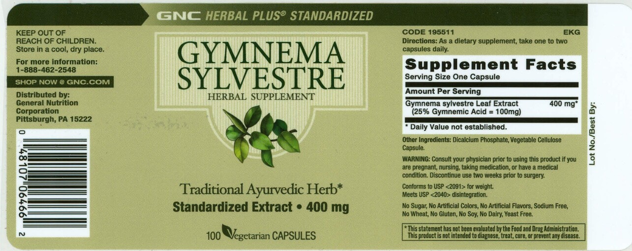Gymnema Sylvestre