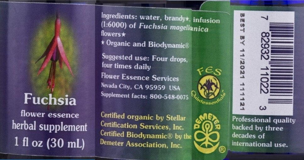 Fuchsia Flower Essence