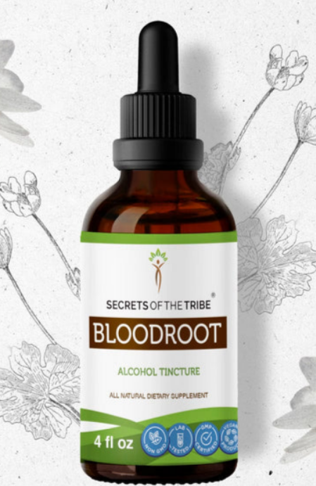 Bloodroot Alcohol Tincture
