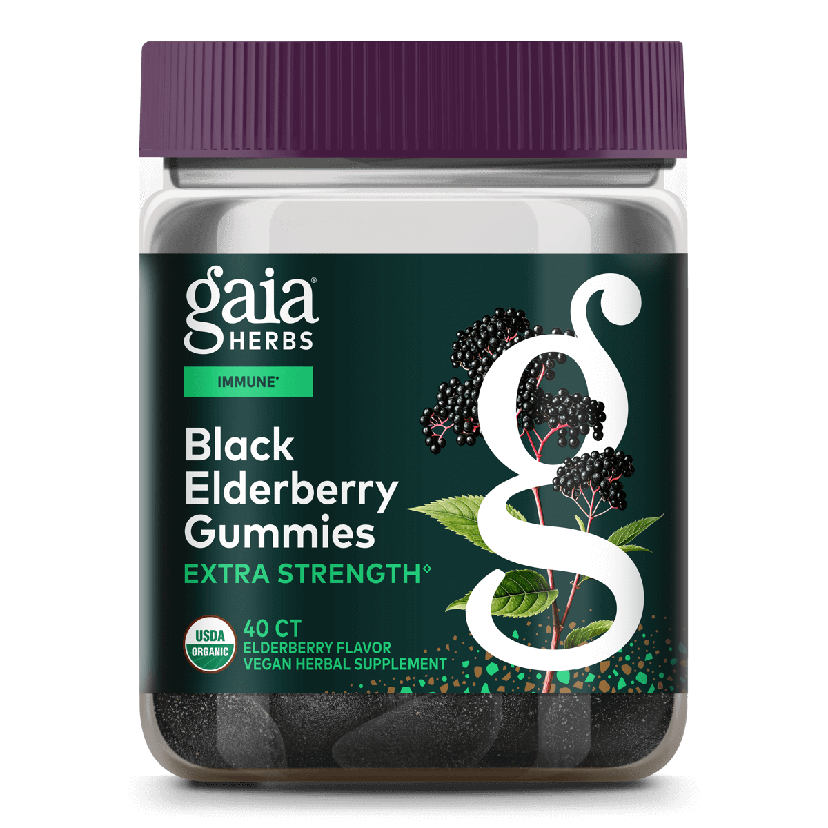 Black Elderberry Adult Daily Gummies