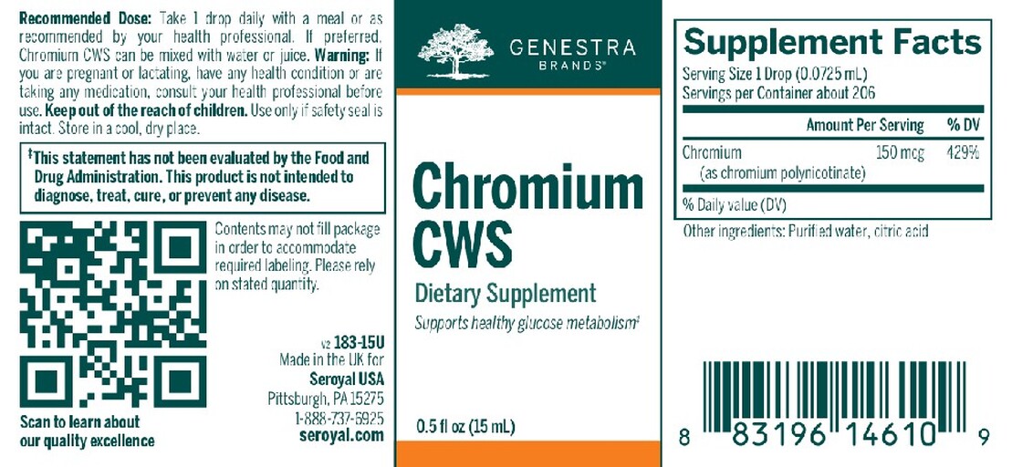Chromium CWS