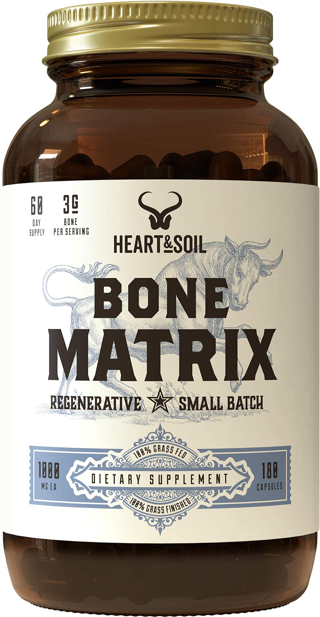 Bone Matrix