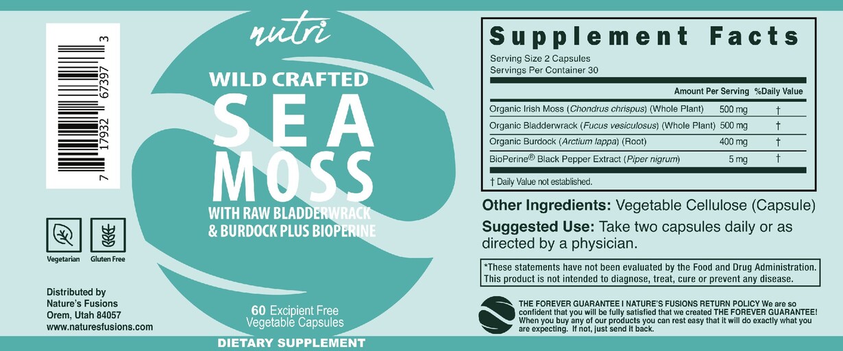 Wild Crafted Sea Moss