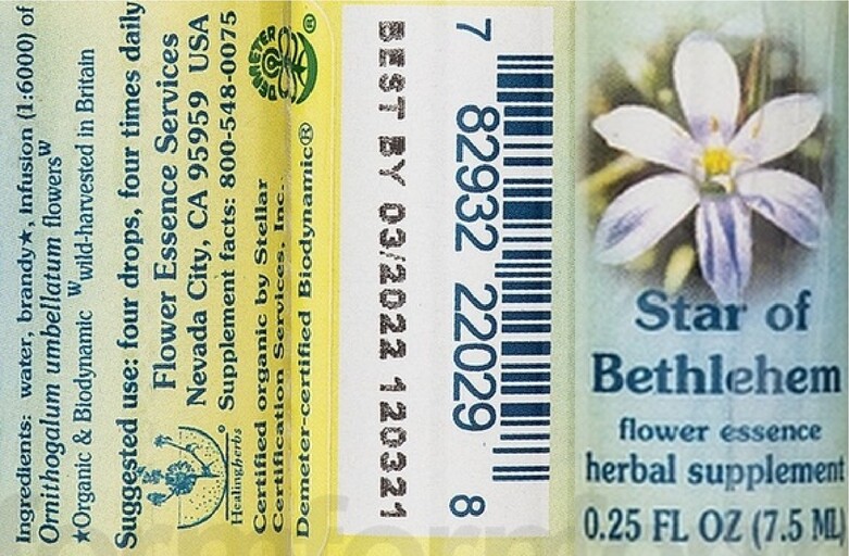 Star of Bethlehem Flower Essence