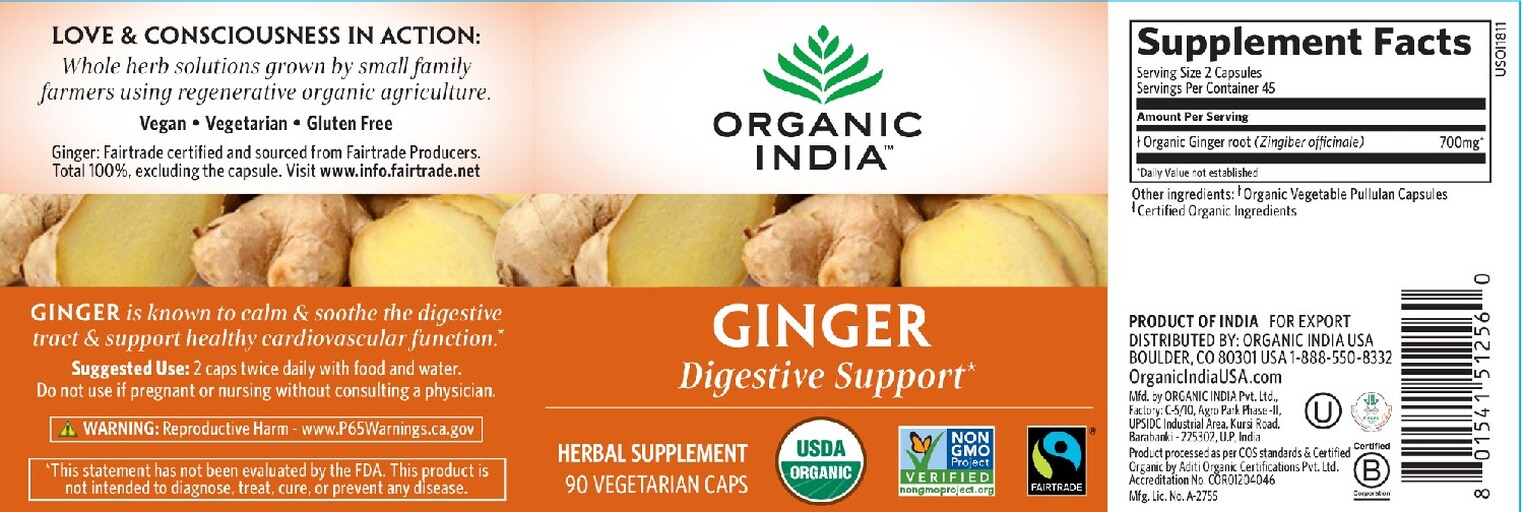 Ginger
