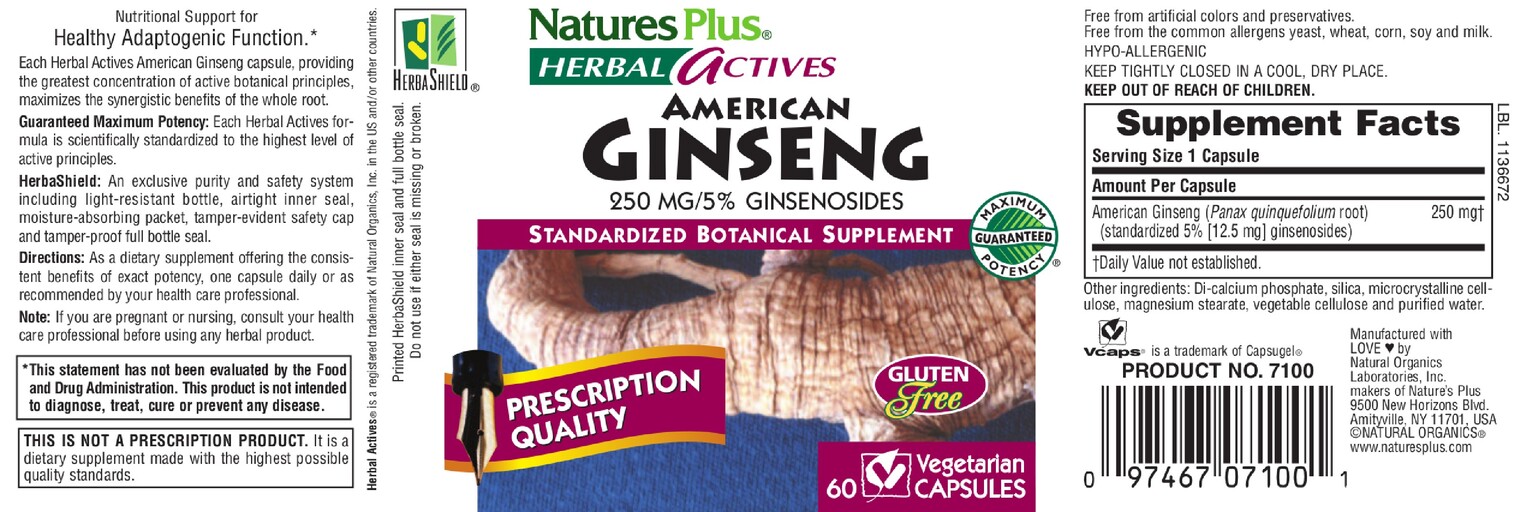 American Gingseng 250 mg