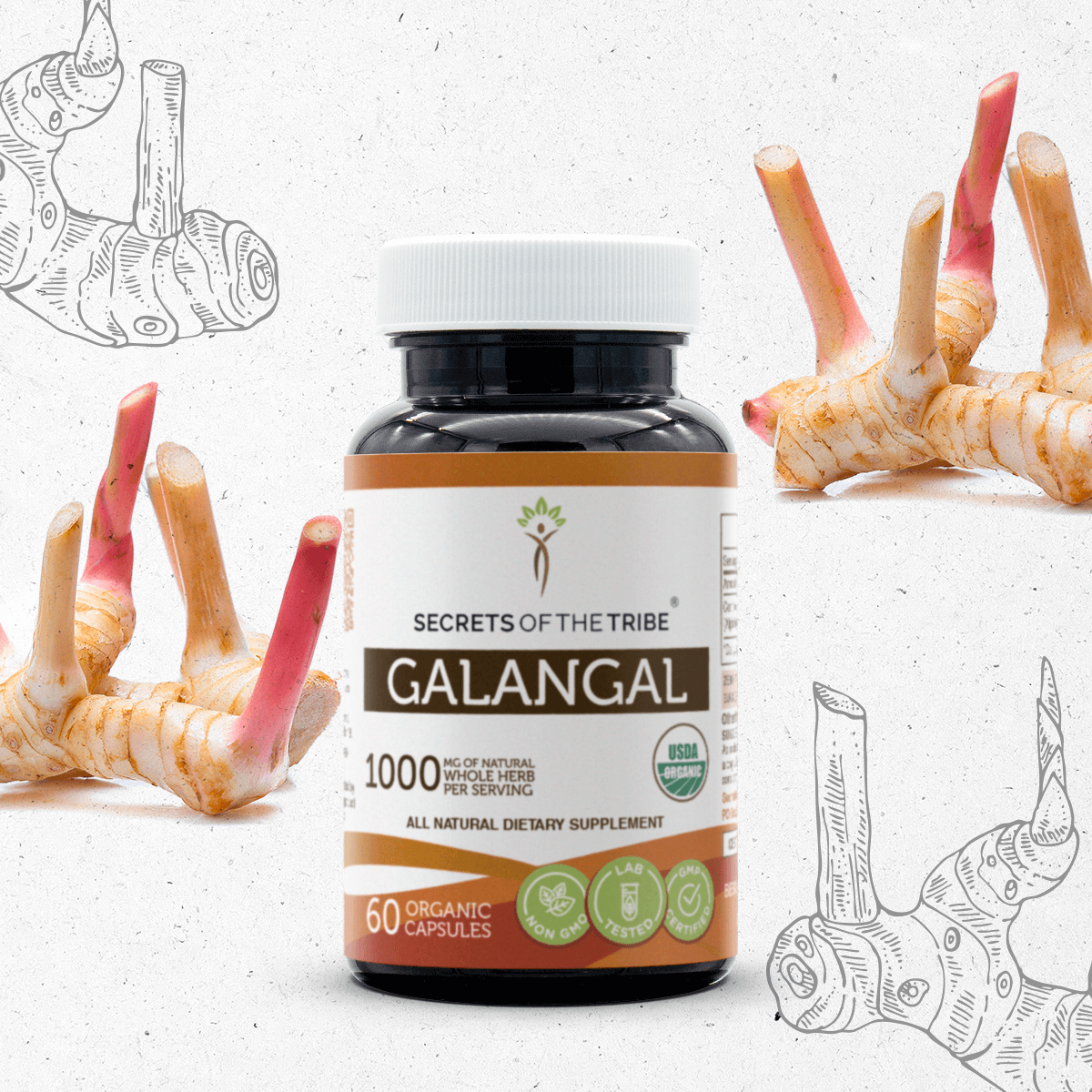 Galangal