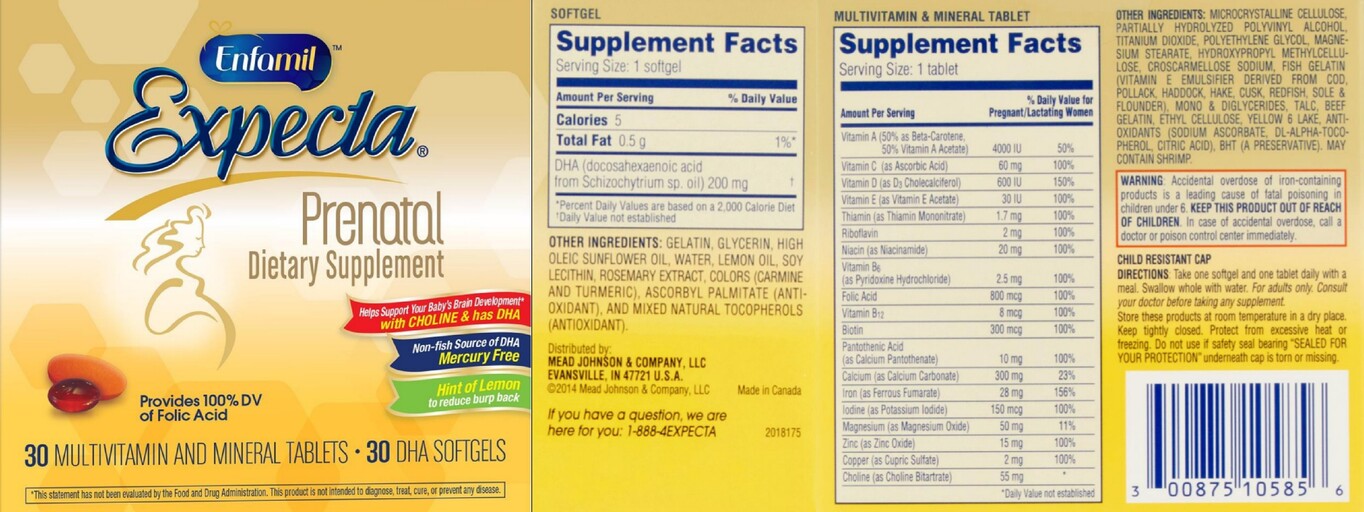 Multivitamin & Mineral Tablet