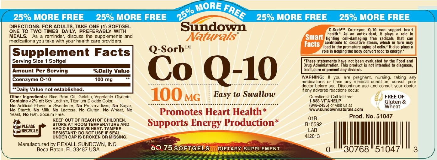 Q-Sorb Co Q-10 100 mg