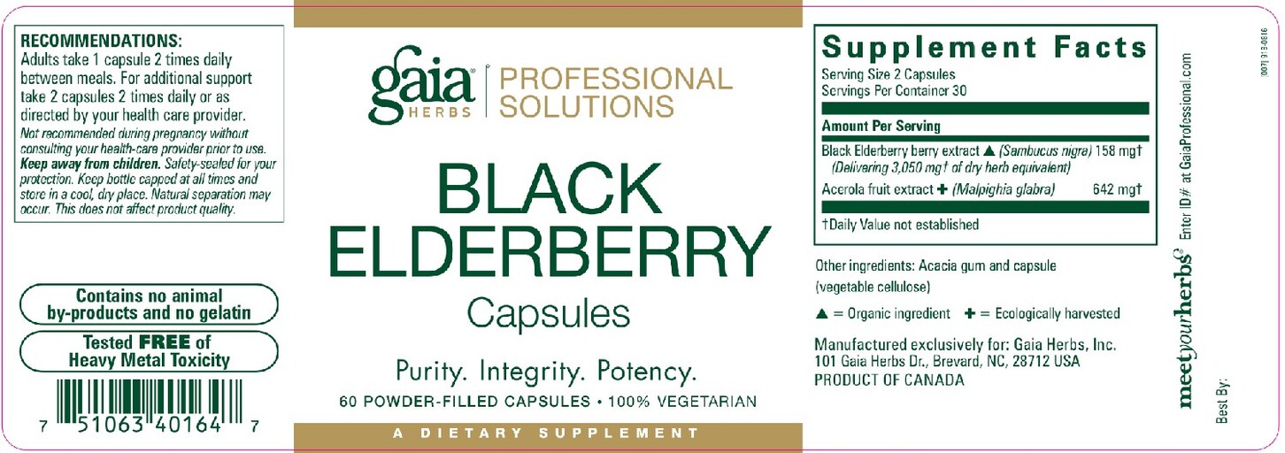 Black Elderberry Capsules