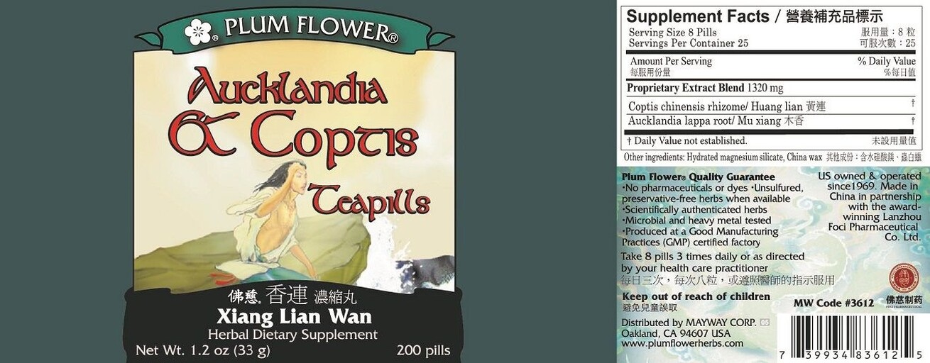 Aucklandia & Coptis Teapills
