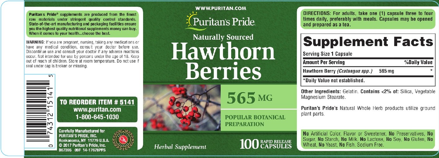 Hawthorn Berries 565 mg