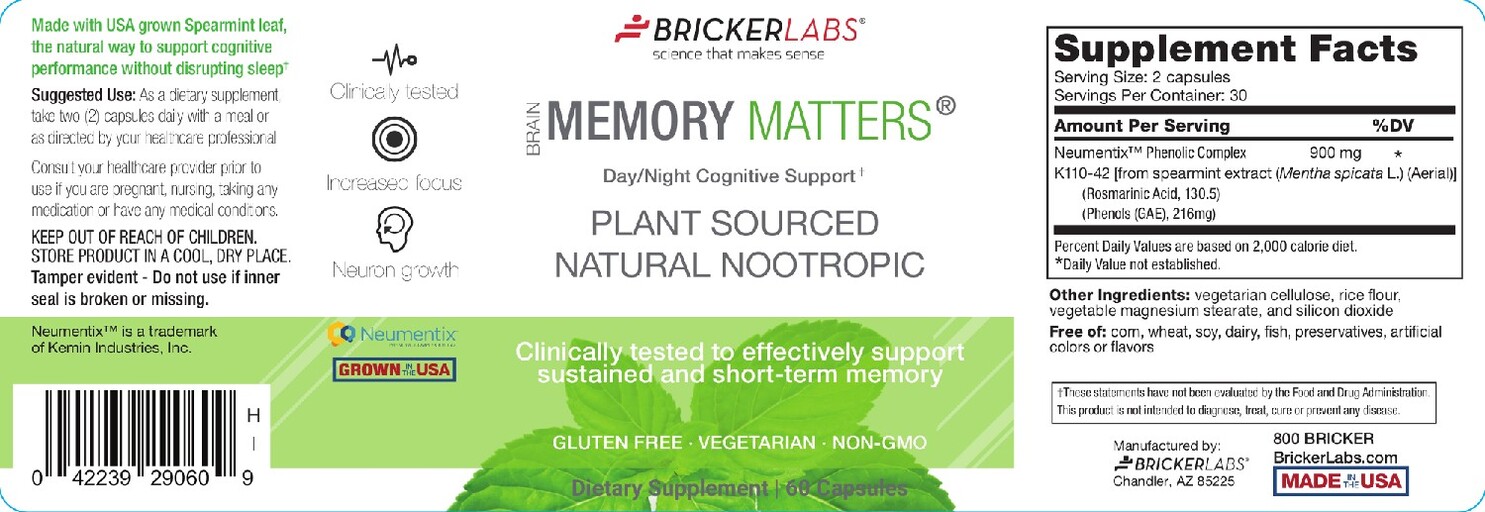 Memory Matters