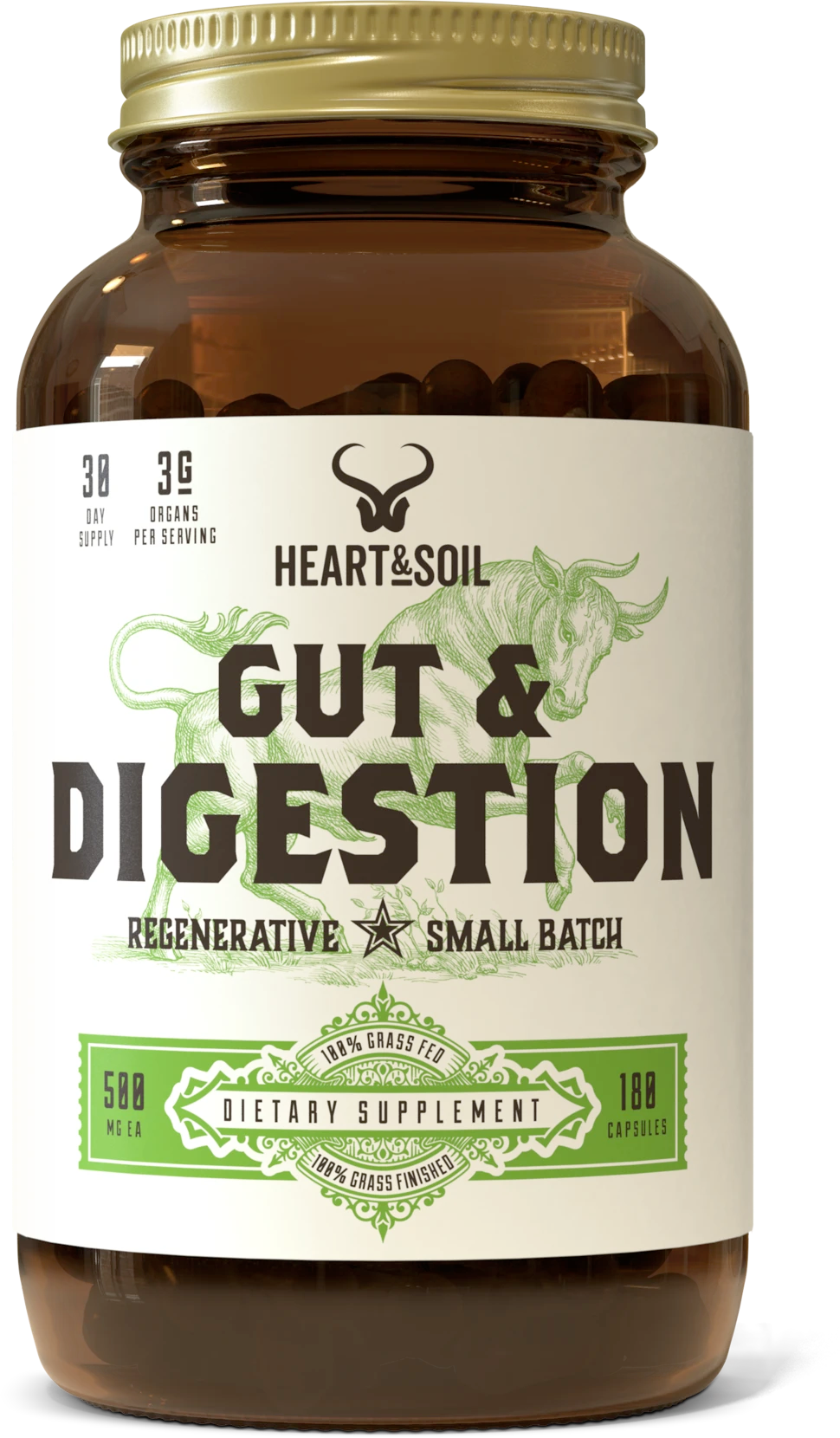 Gut & Digestion
