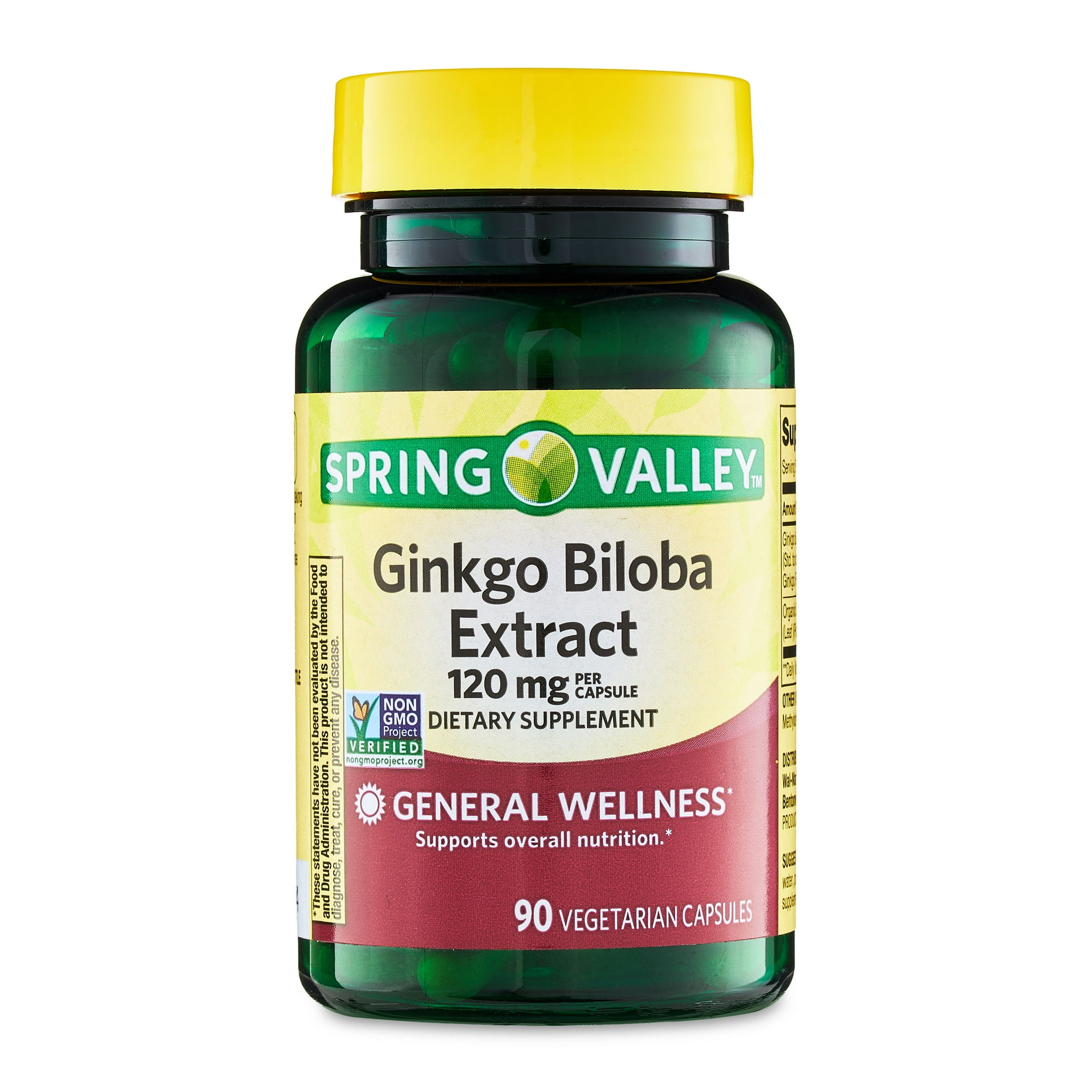 Ginkgo Biloba Extract 120 mg
