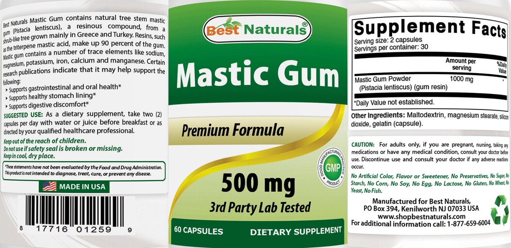 Mastic Gum 500 mg