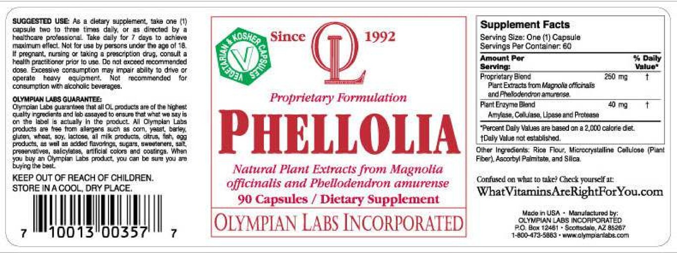 Phellolia