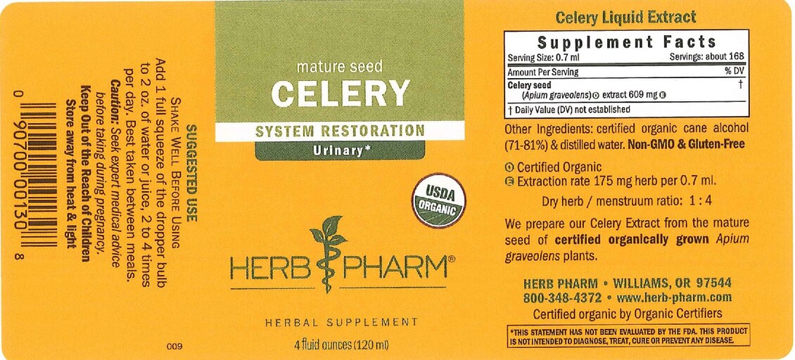 Celery