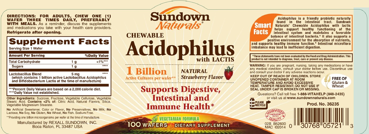 Chewable Acidophilus With Lactis Natural Strawberry Flavor