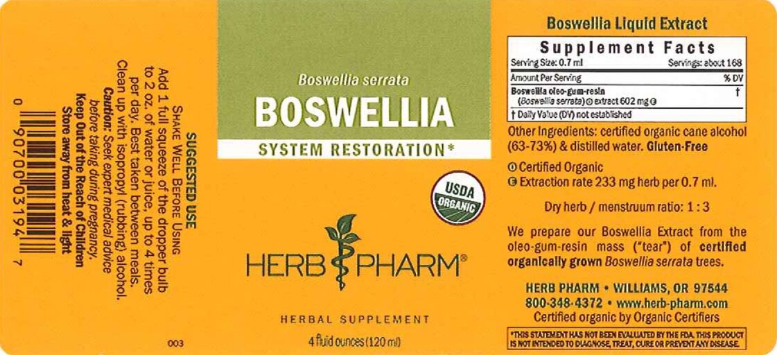 Boswellia