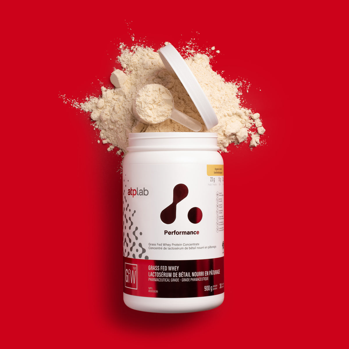 Performance Whey Protein ISO (Chocolate