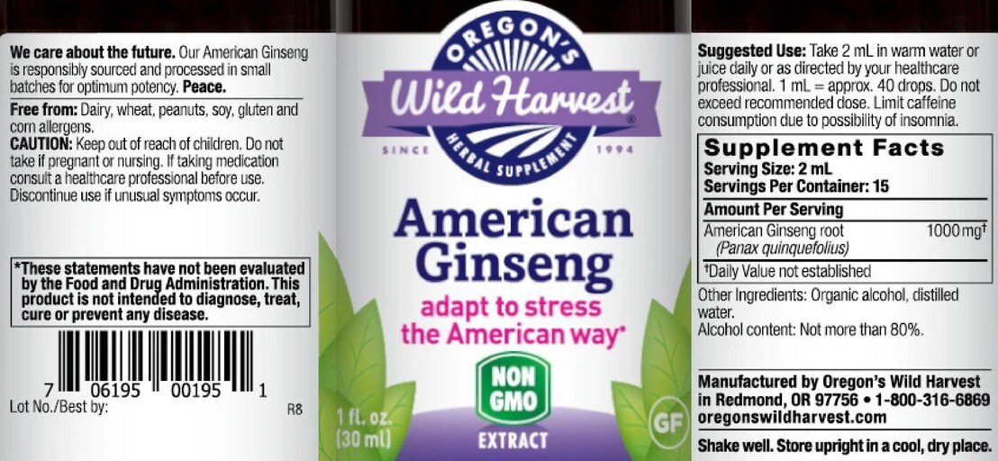 American Ginseng Extract