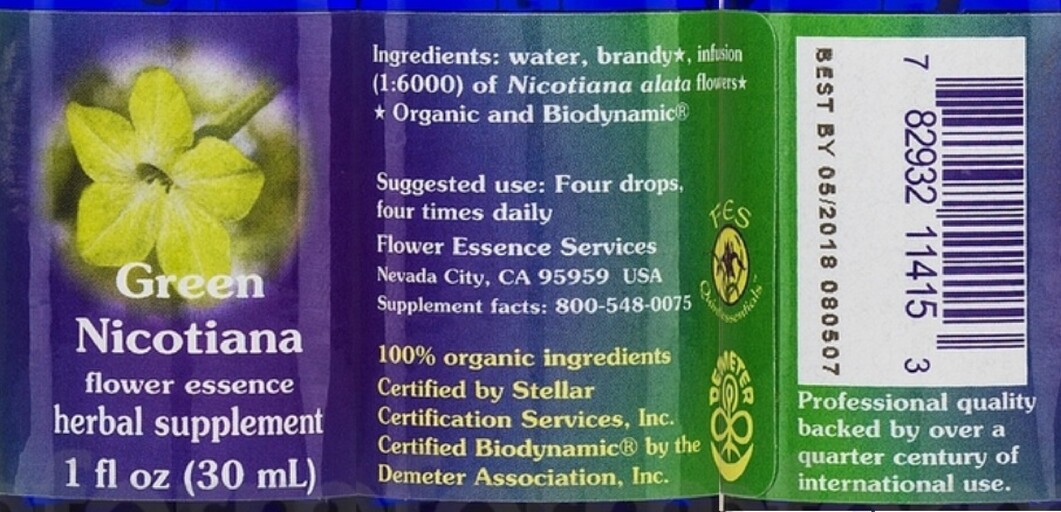 Green Nicotiana Flower Essence