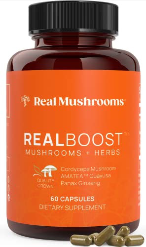 RealBoost