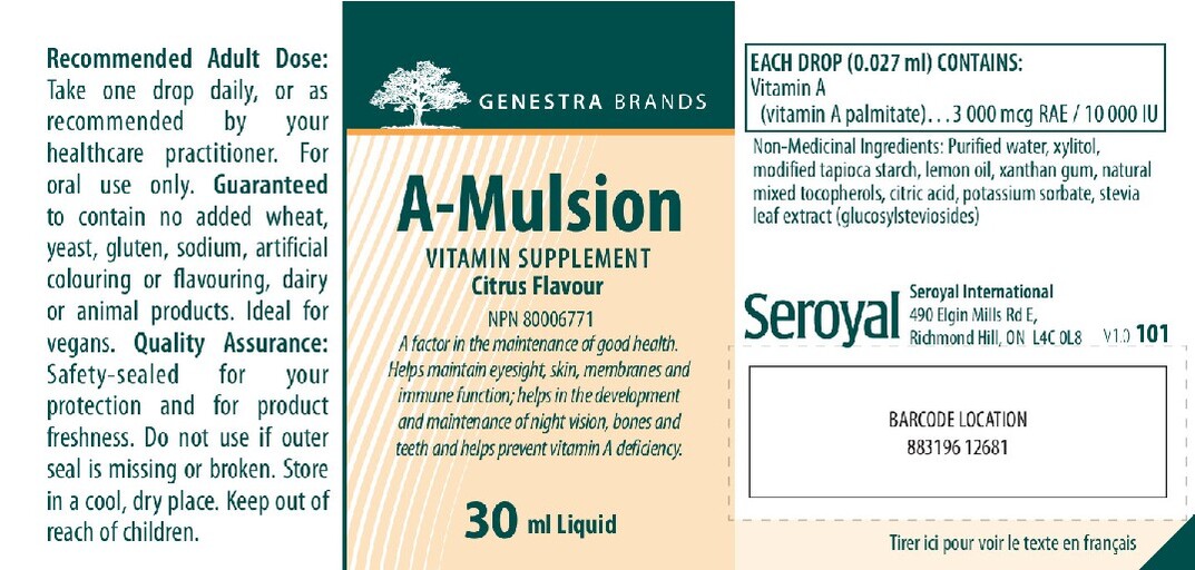 A-Mulsion Citrus Flavour
