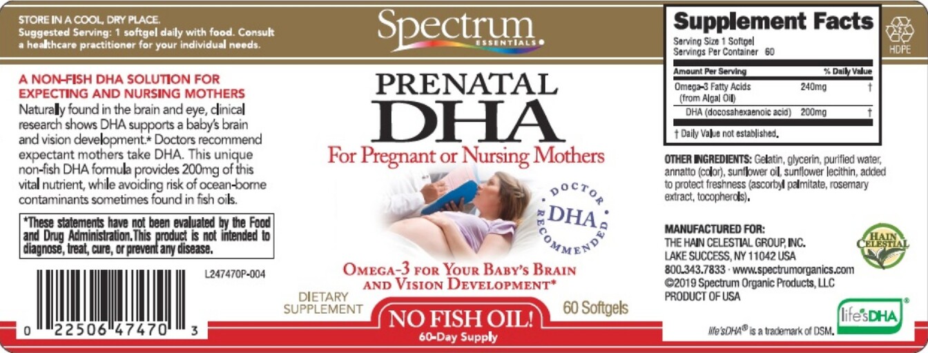 Prenatal DHA