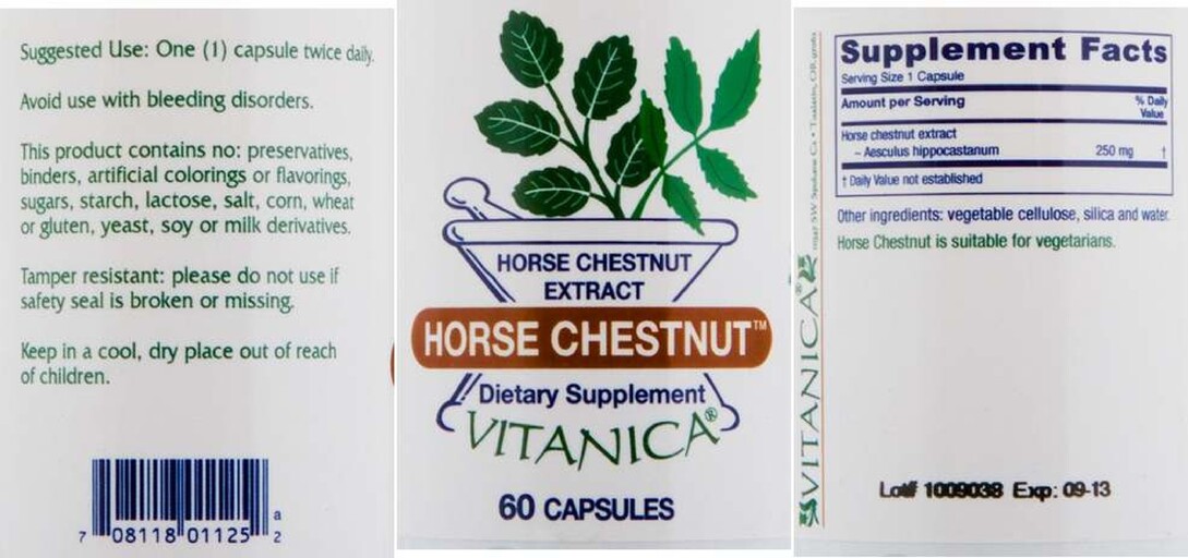 Horse Chestnut